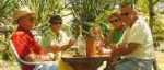 Moutere Hills Vineyard and Cafe