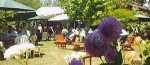 Moutere Hills Vineyard and Cafe
