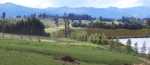 Moutere Hills Vineyard and Cafe
