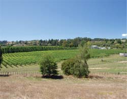 Moutere Hills Winery for sale